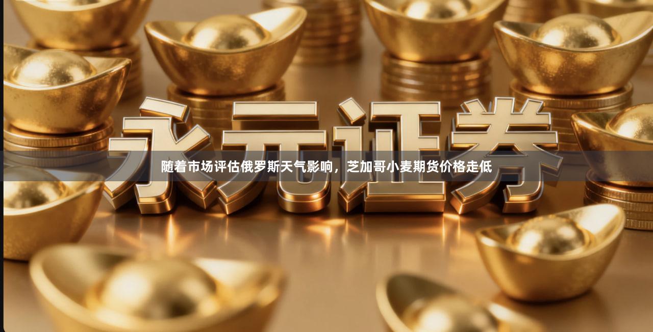 随着市场评估俄罗斯天气影响,芝加哥小麦期货价格走低